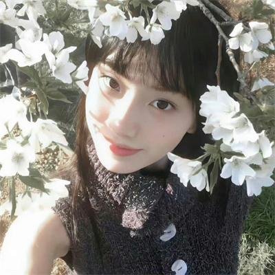 团子大家族 第二季